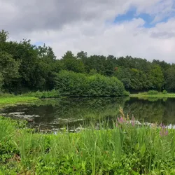 Parc des Gayeulles - Rennes