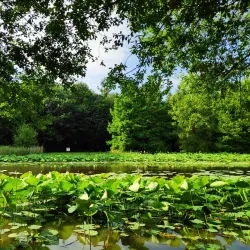 Parc des Gayeulles - Rennes