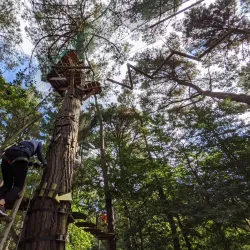 Parc des Gayeulles - Rennes