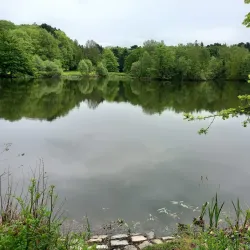 Parc des Gayeulles - Rennes
