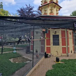 Parc du Thabor - Rennes