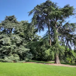 Parc Oberthür - Rennes