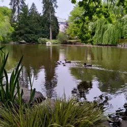 Parc Oberthür - Rennes