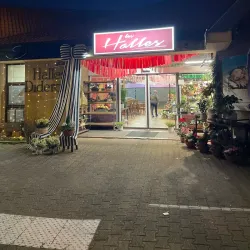 Les Halles de Roanne - Roanne