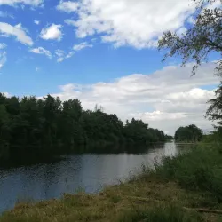 Parc de la Mairie - Roanne