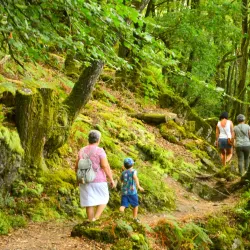 Forêt de Quénécan - Rostrenen