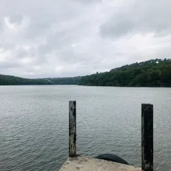Forêt de Quénécan - Rostrenen
