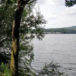 Forêt de Quénécan - Rostrenen