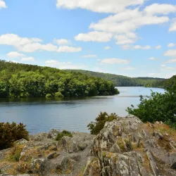 Forêt de Quénécan - Rostrenen
