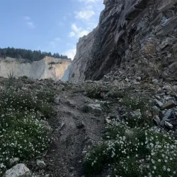 Forêt de Quénécan - Rostrenen