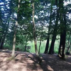 Lac de Guerlédan (nearby) - Rostrenen