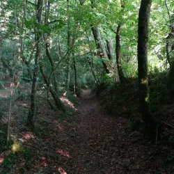 Sentier de Randonnée autour de Rostrenen - Rostrenen