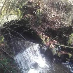 Sentier de Randonnée autour de Rostrenen - Rostrenen