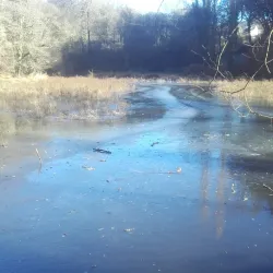 Sentier de Randonnée autour de Rostrenen - Rostrenen