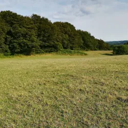 Sentier de Randonnée autour de Rostrenen - Rostrenen