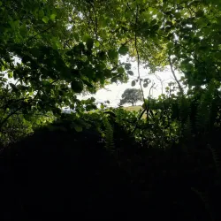 Sentier de Randonnée autour de Rostrenen - Rostrenen