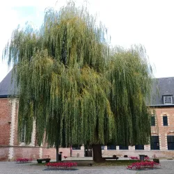 Maison Folie Hospice d'Havré - Roubaix