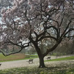 Parc Barbieux - Roubaix