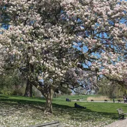 Parc Barbieux - Roubaix