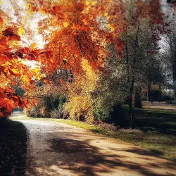 Parc Barbieux - Roubaix