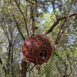Parc de l'Estuaire - Royan