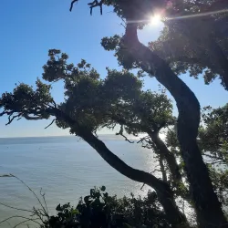 Parc de l'Estuaire - Royan