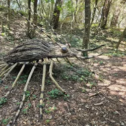 Parc de l'Estuaire - Royan