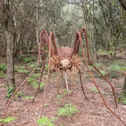 Parc de l'Estuaire - Royan