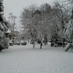 Centre Culturel Jean Vilar - Rueil-Malmaison