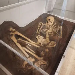 Musée d'Histoire Locale de Rueil-Malmaison - Rueil-Malmaison