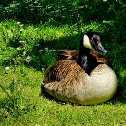 Parc de Bois-Préau - Rueil-Malmaison