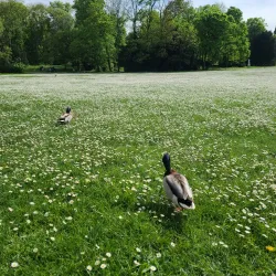 Parc de Bois-Préau - Rueil-Malmaison