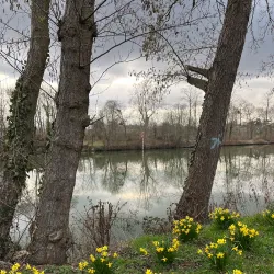 Parc des Bords de Seine - Rueil-Malmaison