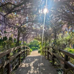Parc des Impressionnistes - Rueil-Malmaison