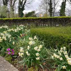 Parc des Impressionnistes - Rueil-Malmaison