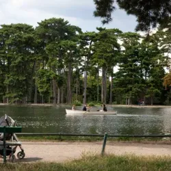 Bois de Boulogne - Saint-Cloud