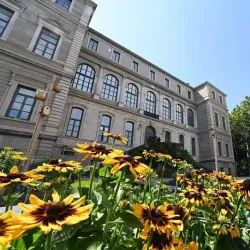 Musée d'Art et d'Industrie - Saint-Etienne