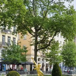 Place Jean Jaurès - Saint-Etienne