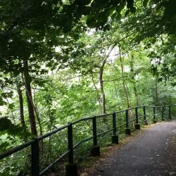 Le Bois de la Bâtie - Saint-Genis-Pouilly