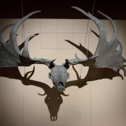 National Museum of Archaeology - Saint-Germain-en-Laye