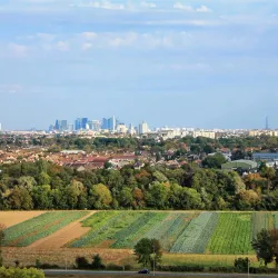 Saint-Germain Forest - Saint-Germain-en-Laye