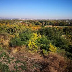 Saint-Germain Forest - Saint-Germain-en-Laye