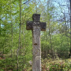 Saint-Germain Forest - Saint-Germain-en-Laye