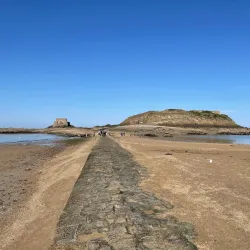 Grand Bé Island - Saint-Malo