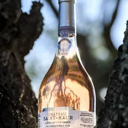 Château de Saint-Maur - Saint-Maur-des-Fossés