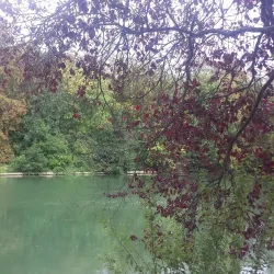 Île de la Pâture - Saint-Maur-des-Fossés