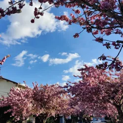 Parc de l'Île Saint-Maur - Saint-Maur-des-Fossés