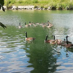 Parc de l'Île Saint-Maur - Saint-Maur-des-Fossés