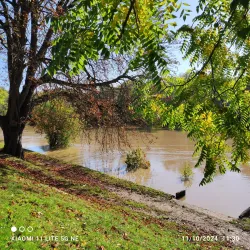 Parc du Vieux Saint-Maur - Saint-Maur-des-Fossés
