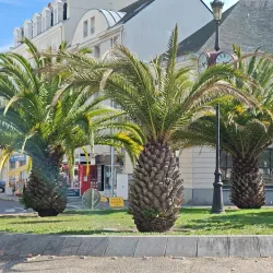 Le Grand Café - Saint-Nazaire